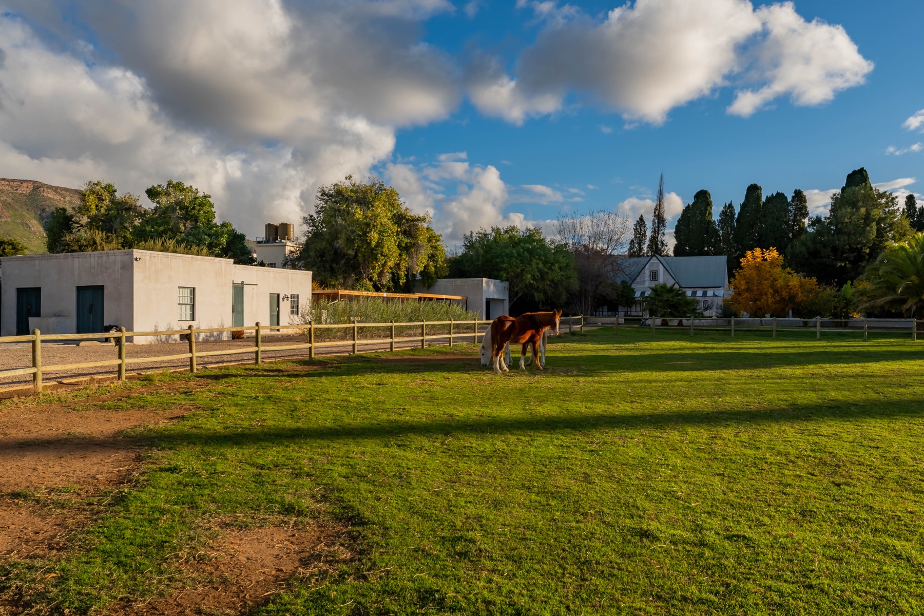 Working farm in Prince Albert — drone aerial agricultural photography